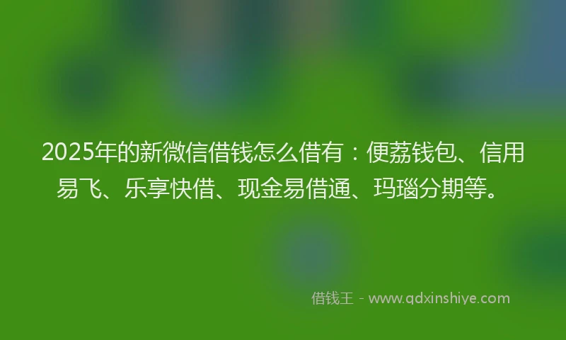 2025年的新微信借钱怎么借有：便荔钱包、信用易飞、乐享快借、现金易借通、玛瑙分期等。