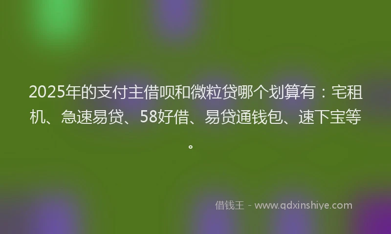 2025年的支付主借呗和微粒贷哪个划算有：宅租机、急速易贷、58好借、易贷通钱包、速下宝等。
