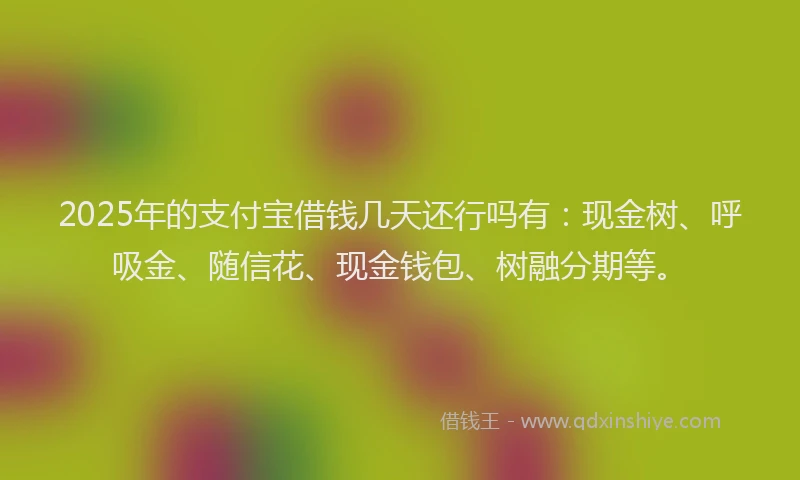 2025年的支付宝借钱几天还行吗有：现金树、呼吸金、随信花、现金钱包、树融分期等。