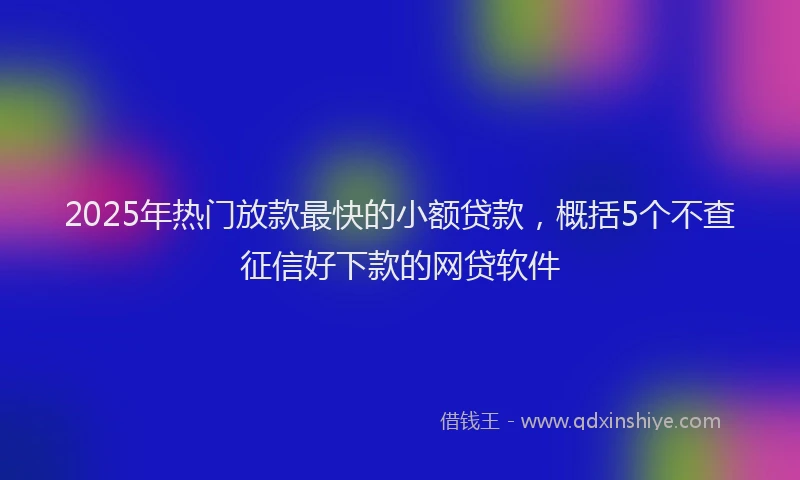 2025年热门放款最快的小额贷款，概括5个不查征信好下款的网贷软件