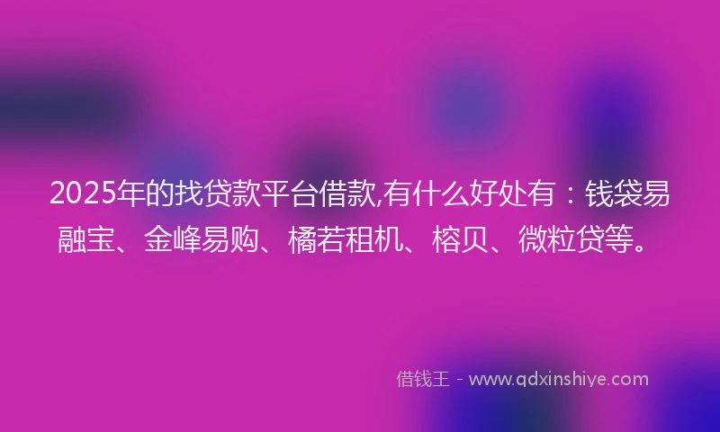 2025年的找贷款平台借款,有什么好处有：钱袋易融宝、金峰易购、橘若租机、榕贝、微粒贷等。
