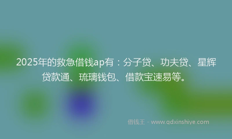 2025年的救急借钱ap有：分子贷、功夫贷、星辉贷款通、琉璃钱包、借款宝速易等。