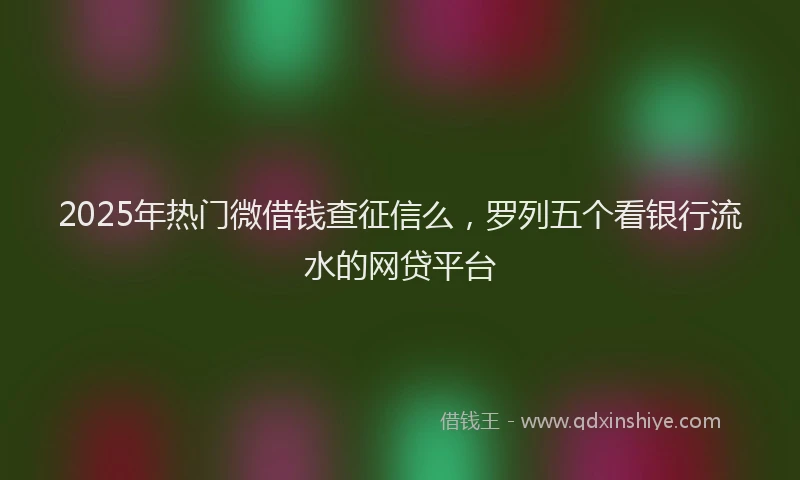 2025年热门微借钱查征信么，罗列五个看银行流水的网贷平台