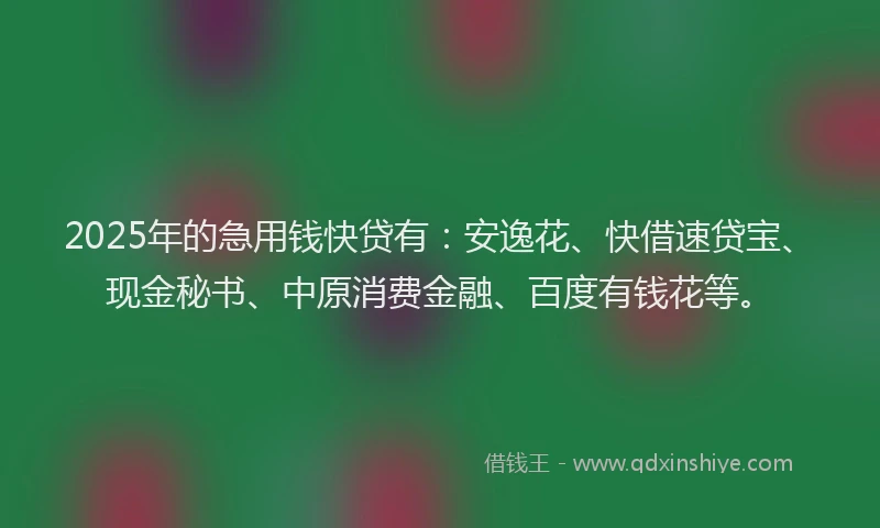 2025年的急用钱快贷有：安逸花、快借速贷宝、现金秘书、中原消费金融、百度有钱花等。