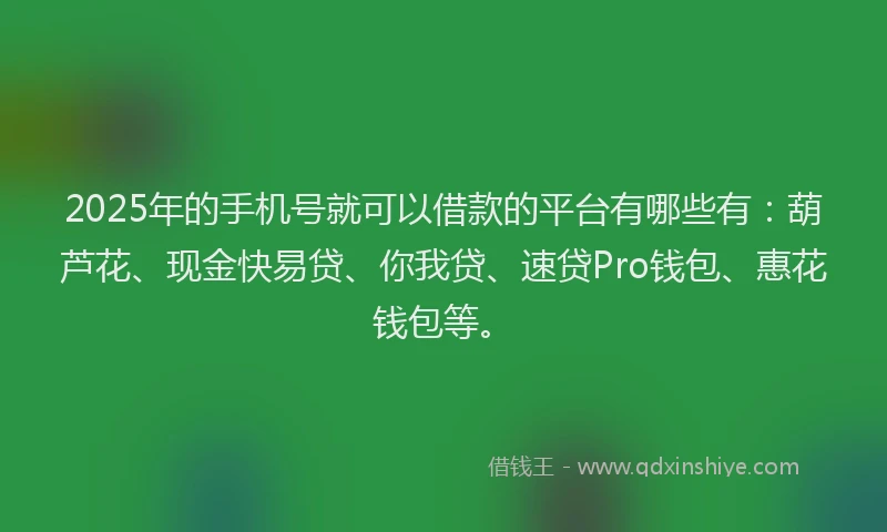 2025年的手机号就可以借款的平台有哪些有：葫芦花、现金快易贷、你我贷、速贷Pro钱包、惠花钱包等。