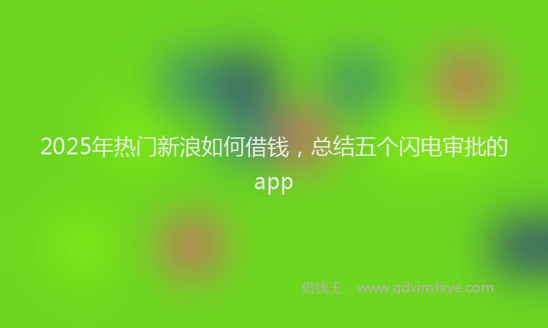 2025年热门新浪如何借钱，总结五个闪电审批的app