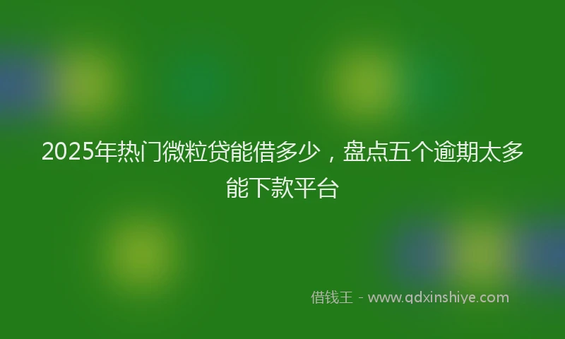 2025年热门微粒贷能借多少，盘点五个逾期太多能下款平台