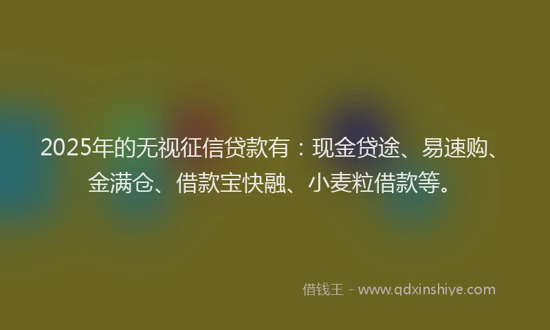 2025年的无视征信贷款有：现金贷途、易速购、金满仓、借款宝快融、小麦粒借款等。