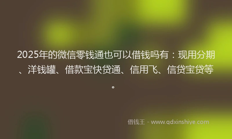 2025年的微信零钱通也可以借钱吗有：现用分期、洋钱罐、借款宝快贷通、信用飞、信贷宝贷等。