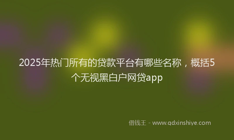 2025年热门所有的贷款平台有哪些名称，概括5个无视黑白户网贷app
