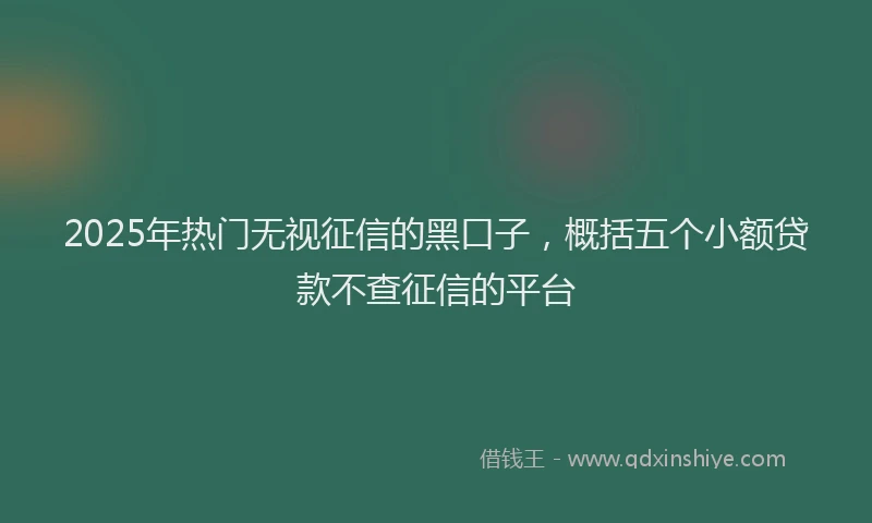2025年热门无视征信的黑口子，概括五个小额贷款不查征信的平台