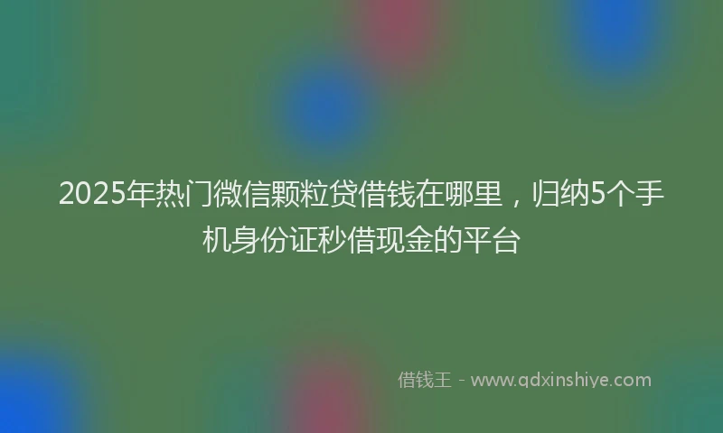 2025年热门微信颗粒贷借钱在哪里，归纳5个手机身份证秒借现金的平台