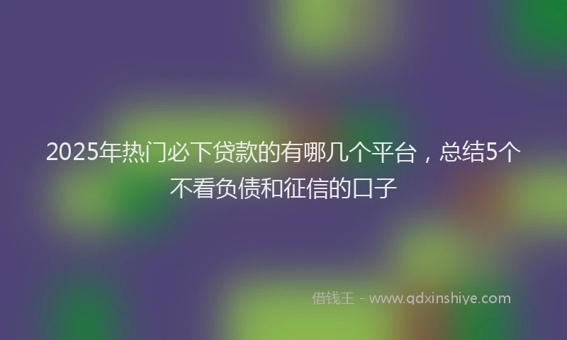2025年热门必下贷款的有哪几个平台，总结5个不看负债和征信的口子