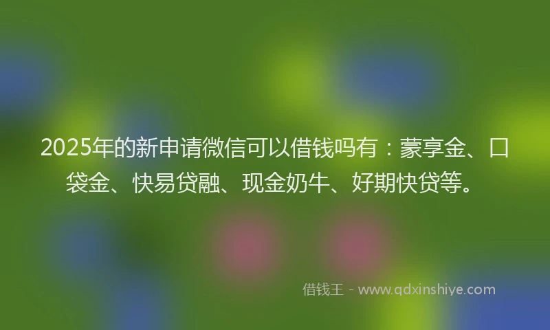 2025年的新申请微信可以借钱吗有：蒙享金、口袋金、快易贷融、现金奶牛、好期快贷等。