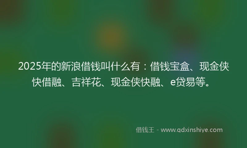 2025年的新浪借钱叫什么有：借钱宝盒、现金侠快借融、吉祥花、现金侠快融、e贷易等。