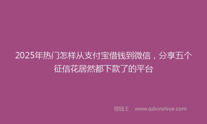 2025年热门怎样从支付宝借钱到微信，分享五个征信花居然都下款了的平台