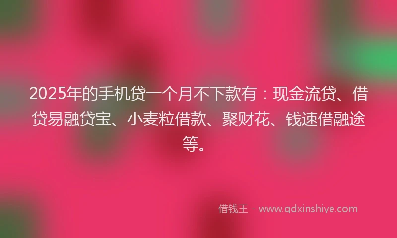 2025年的手机贷一个月不下款有：现金流贷、借贷易融贷宝、小麦粒借款、聚财花、钱速借融途等。