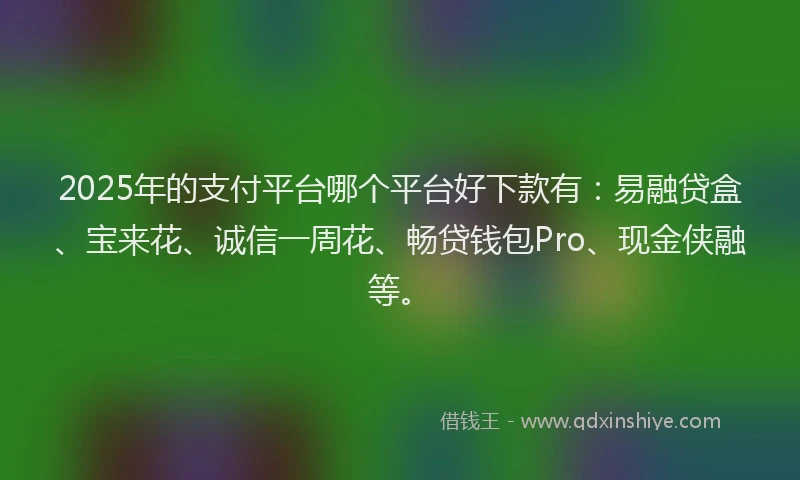 2025年的支付平台哪个平台好下款有：易融贷盒、宝来花、诚信一周花、畅贷钱包Pro、现金侠融等。