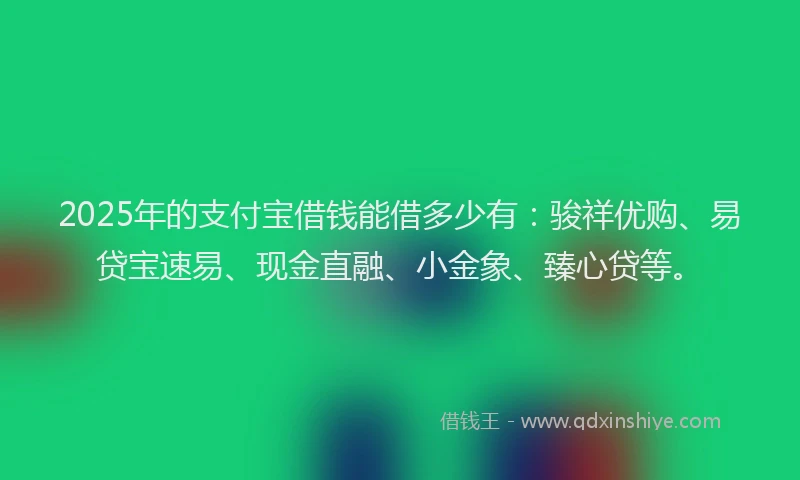 2025年的支付宝借钱能借多少有：骏祥优购、易贷宝速易、现金直融、小金象、臻心贷等。