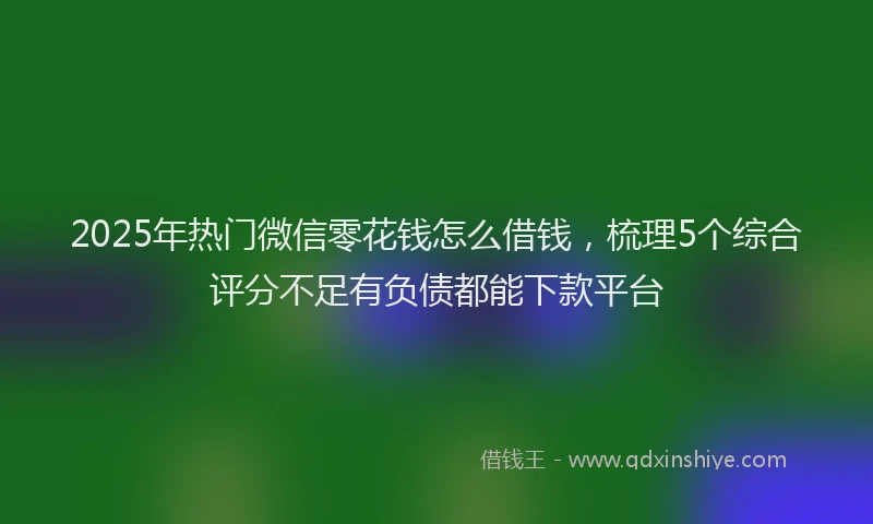 2025年热门微信零花钱怎么借钱，梳理5个综合评分不足有负债都能下款平台