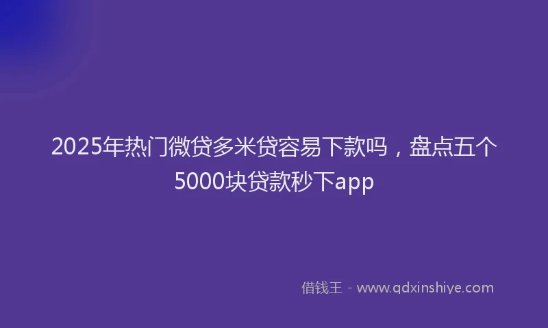 2025年热门微贷多米贷容易下款吗，盘点五个5000块贷款秒下app