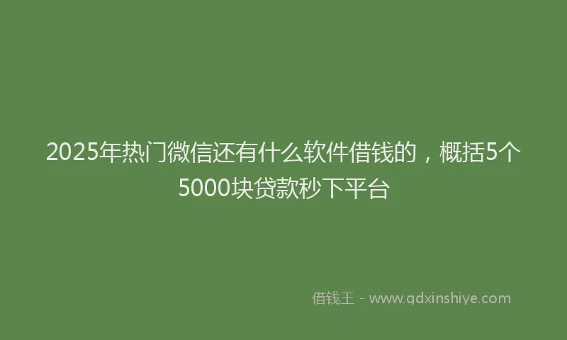 2025年热门微信还有什么软件借钱的，概括5个5000块贷款秒下平台
