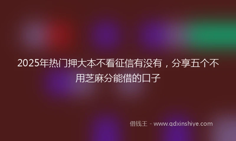 2025年热门押大本不看征信有没有，分享五个不用芝麻分能借的口子