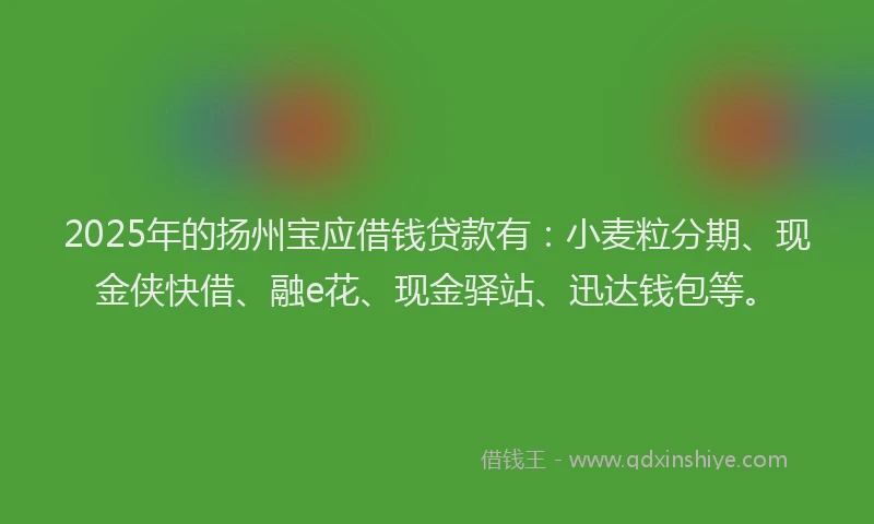 2025年的扬州宝应借钱贷款有：小麦粒分期、现金侠快借、融e花、现金驿站、迅达钱包等。