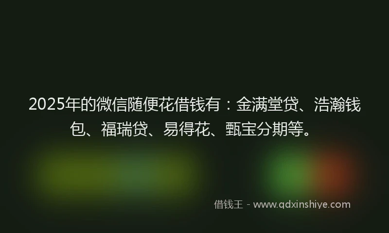 2025年的微信随便花借钱有：金满堂贷、浩瀚钱包、福瑞贷、易得花、甄宝分期等。