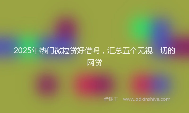 2025年热门微粒贷好借吗，汇总五个无视一切的网贷