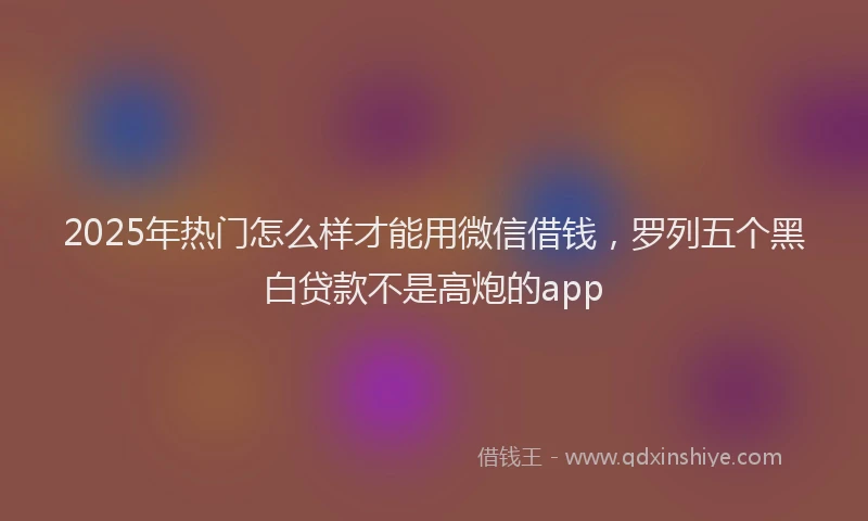 2025年热门怎么样才能用微信借钱，罗列五个黑白贷款不是高炮的app