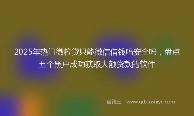 2025年热门微粒贷只能微信借钱吗安全吗，盘点五个黑户成功获取大额贷款的软件