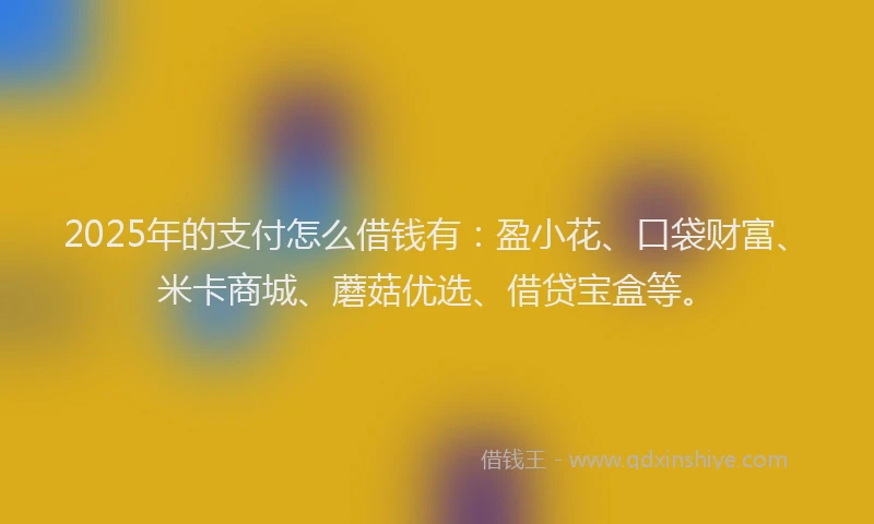 2025年的支付怎么借钱有：盈小花、口袋财富、米卡商城、蘑菇优选、借贷宝盒等。