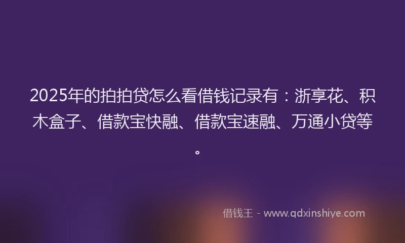 2025年的拍拍贷怎么看借钱记录有：浙享花、积木盒子、借款宝快融、借款宝速融、万通小贷等。