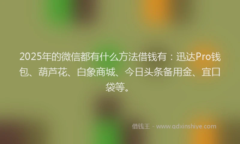 2025年的微信都有什么方法借钱有：迅达Pro钱包、葫芦花、白象商城、今日头条备用金、宜口袋等。