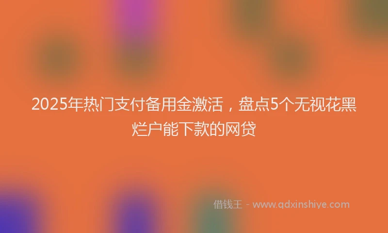 2025年热门支付备用金激活，盘点5个无视花黑烂户能下款的网贷