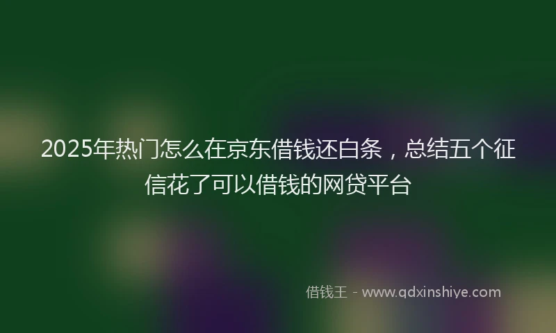 2025年热门怎么在京东借钱还白条，总结五个征信花了可以借钱的网贷平台