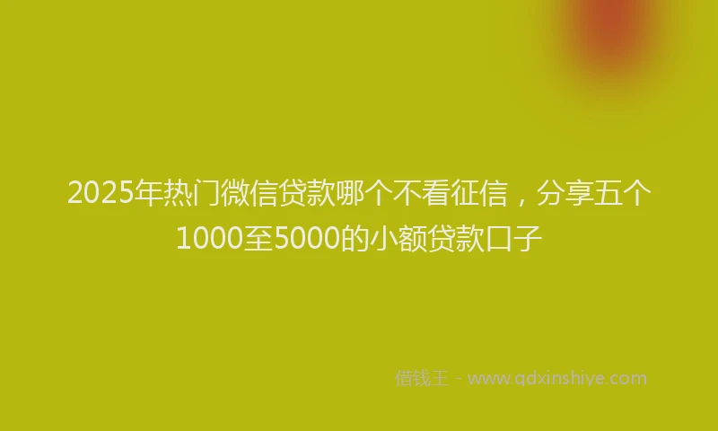 2025年热门微信贷款哪个不看征信，分享五个1000至5000的小额贷款口子