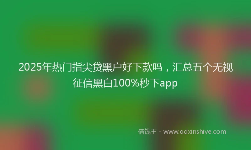 2025年热门指尖贷黑户好下款吗，汇总五个无视征信黑白100%秒下app