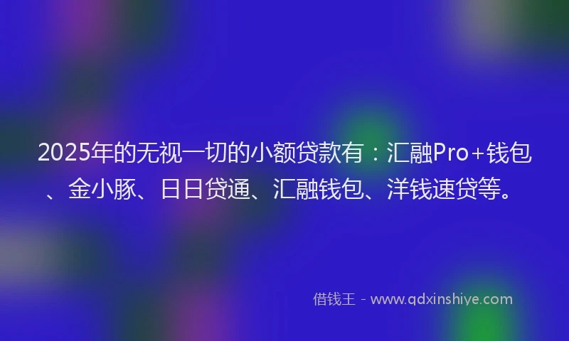 2025年的无视一切的小额贷款有：汇融Pro+钱包、金小豚、日日贷通、汇融钱包、洋钱速贷等。