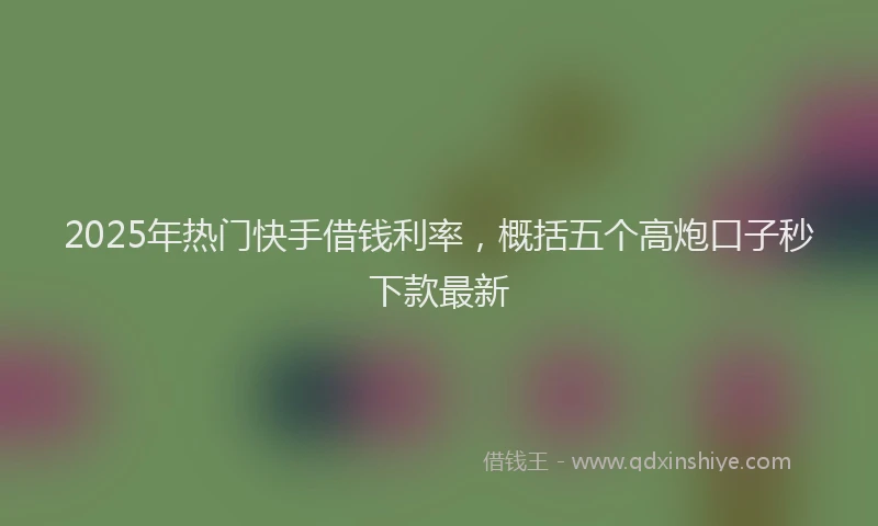 2025年热门快手借钱利率，概括五个高炮口子秒下款最新