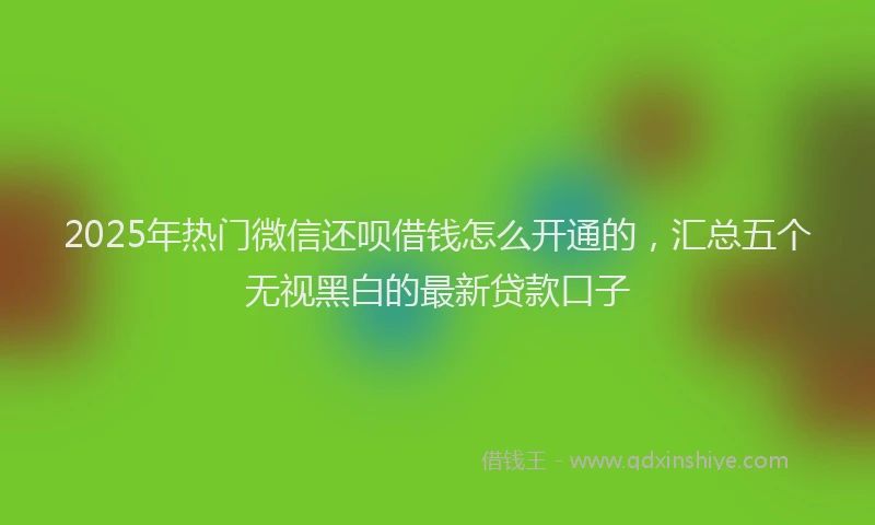 2025年热门微信还呗借钱怎么开通的，汇总五个无视黑白的最新贷款口子
