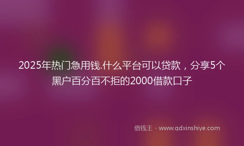 2025年热门急用钱.什么平台可以贷款，分享5个黑户百分百不拒的2000借款口子