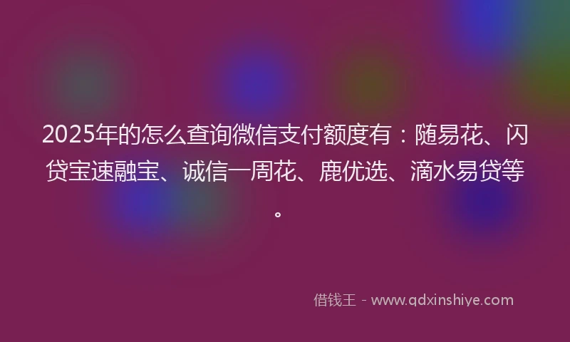 2025年的怎么查询微信支付额度有：随易花、闪贷宝速融宝、诚信一周花、鹿优选、滴水易贷等。