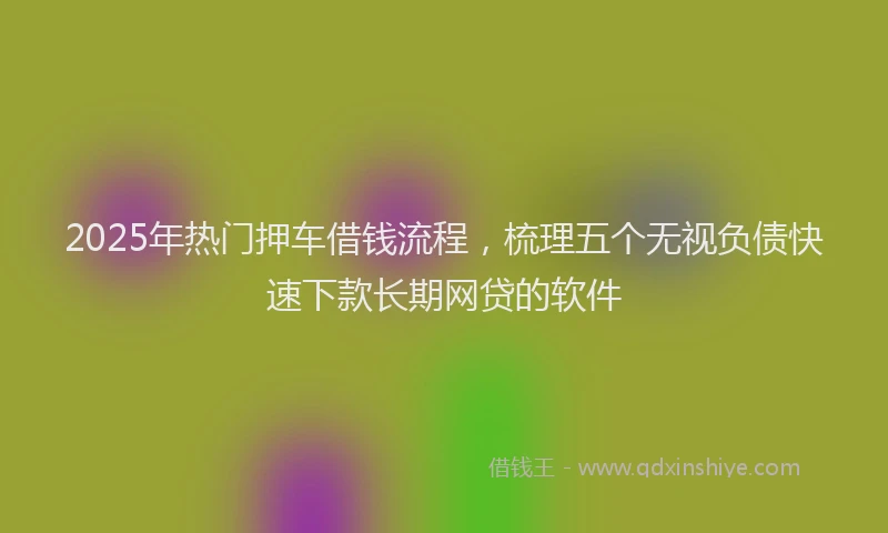 2025年热门押车借钱流程，梳理五个无视负债快速下款长期网贷的软件