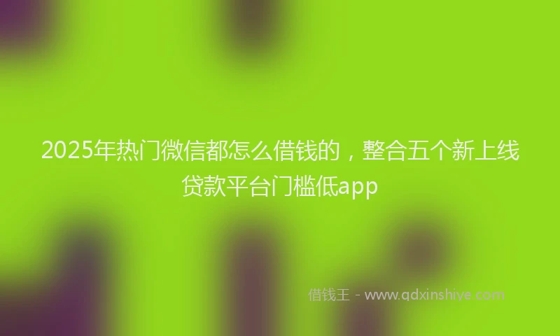 2025年热门微信都怎么借钱的，整合五个新上线贷款平台门槛低app