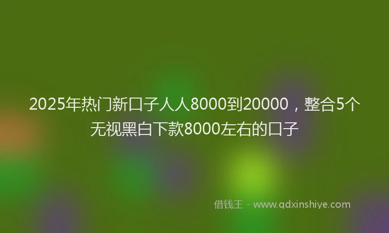 2025年热门新口子人人8000到20000，整合5个无视黑白下款8000左右的口子