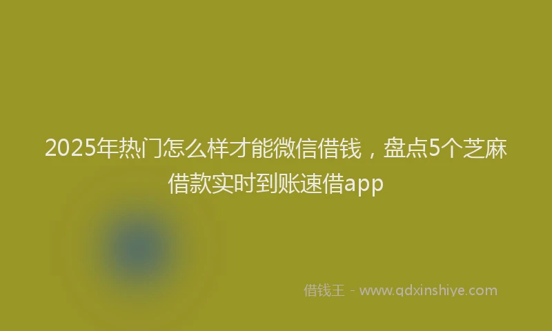 2025年热门怎么样才能微信借钱，盘点5个芝麻借款实时到账速借app