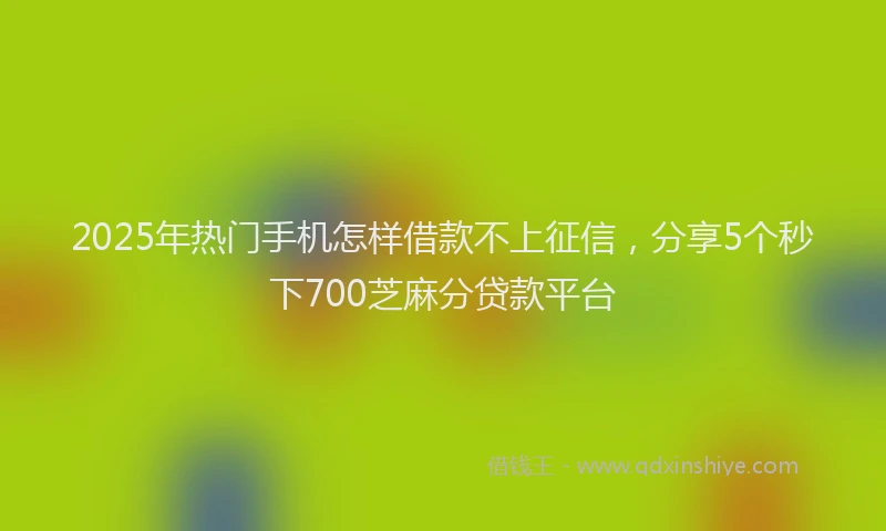 2025年热门手机怎样借款不上征信，分享5个秒下700芝麻分贷款平台