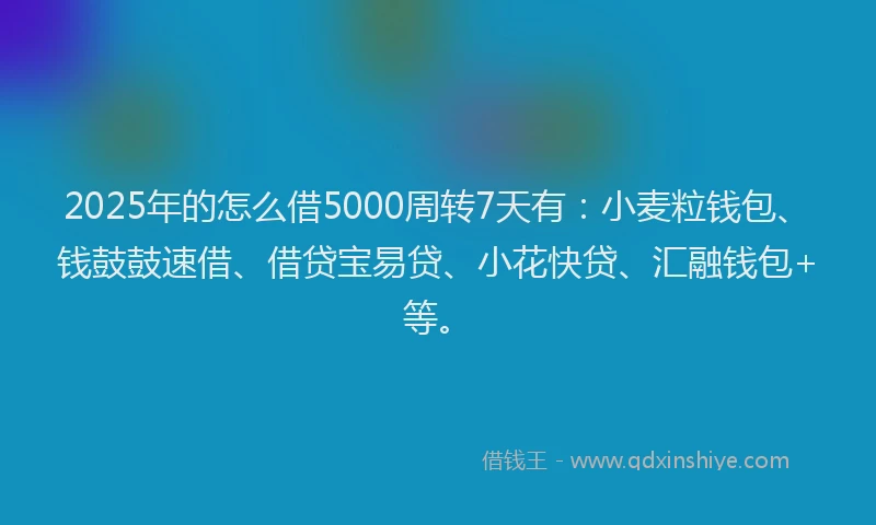 2025年的怎么借5000周转7天有：小麦粒钱包、钱鼓鼓速借、借贷宝易贷、小花快贷、汇融钱包+等。